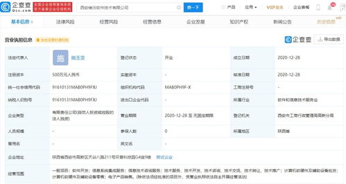 信息系統集成服務 連接技術橋梁，驅動業務創新